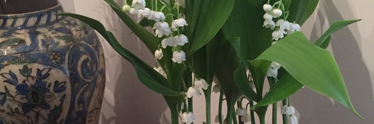 nathalie conscience banner