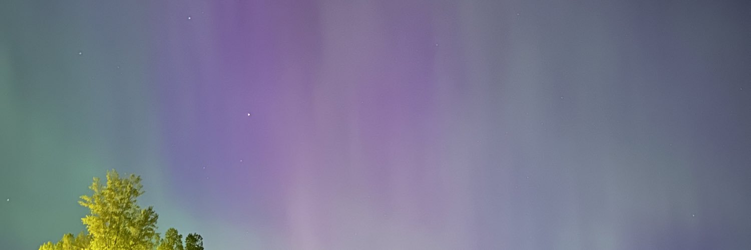 Scheue's profile banner image