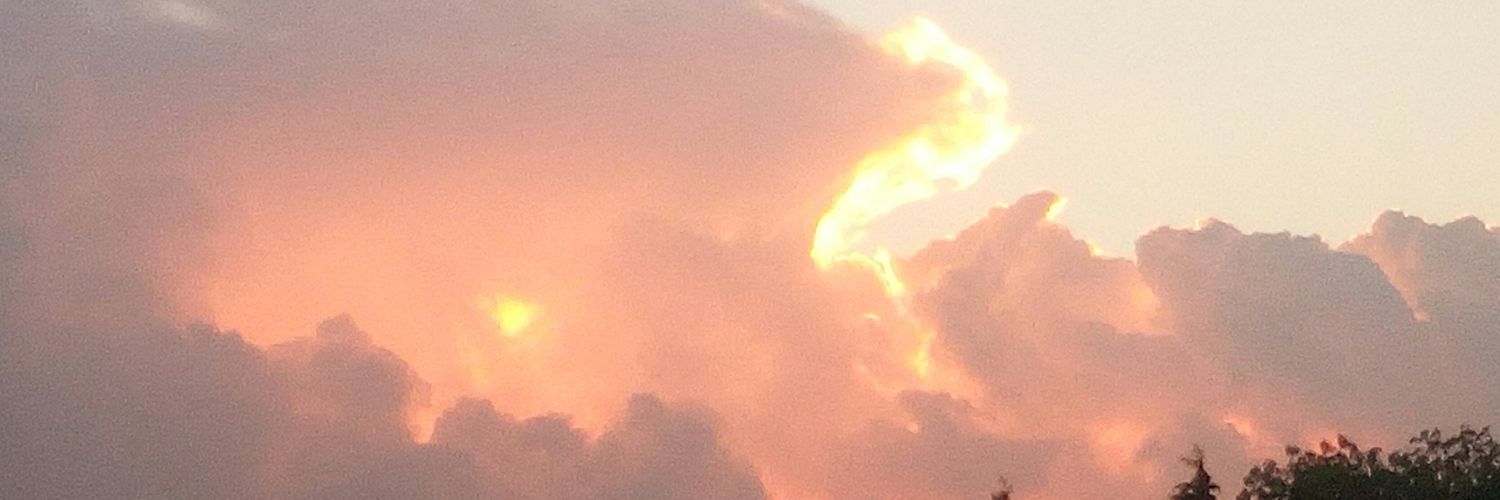 backsb14's profile banner image