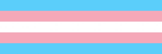 🏳️‍🌈phoenix🏳️‍🌈 banner