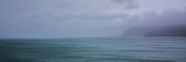 dancinginshado Profile Banner