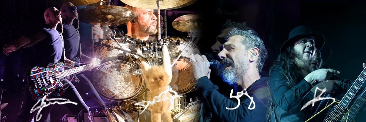 Victims Of A Down banner