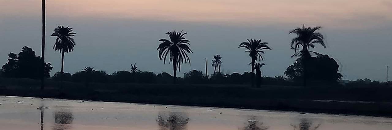 جمال البريكي banner