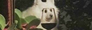 emmalonsom's profile banner image