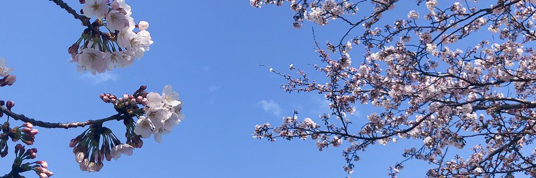 Kuantzuhan's profile banner image