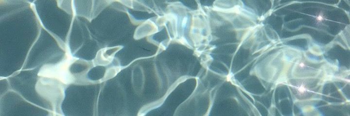 dalmasee's profile banner image