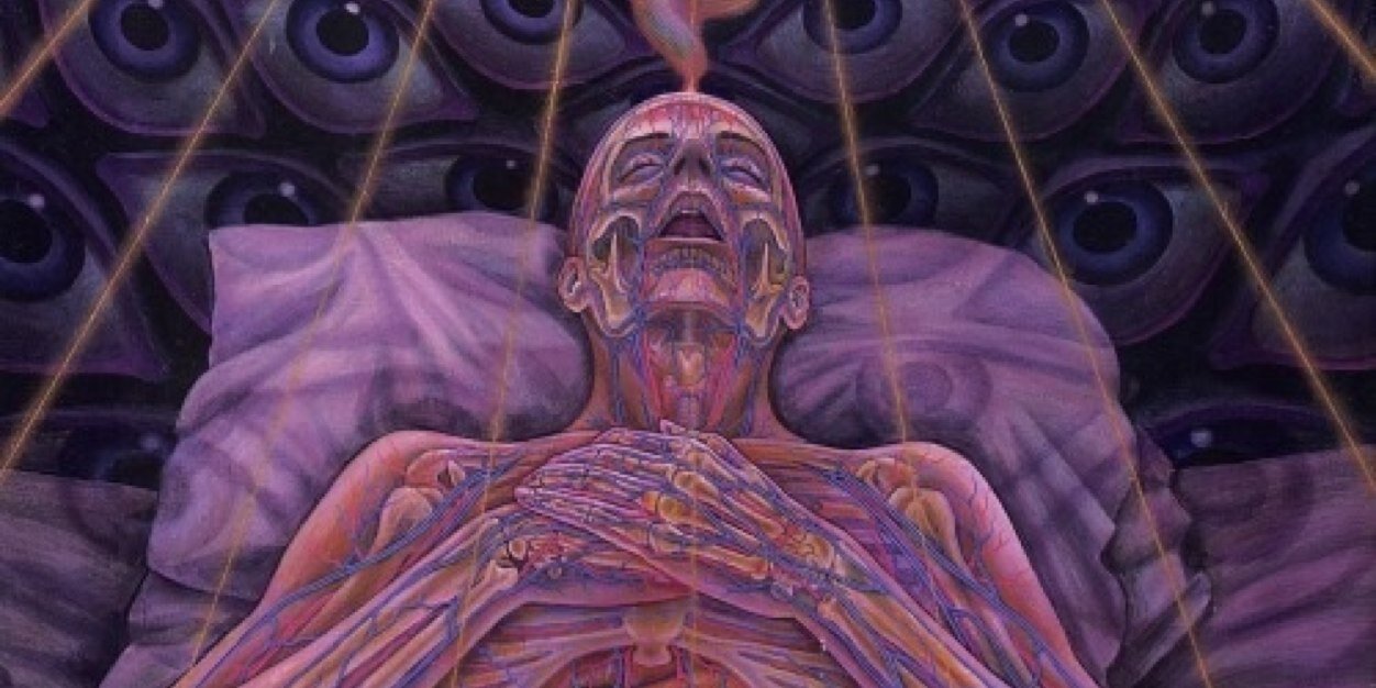 razthepassenger banner