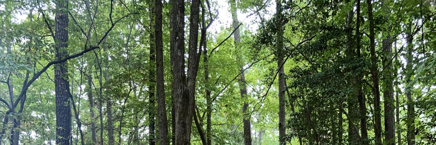 Javier Martinez banner