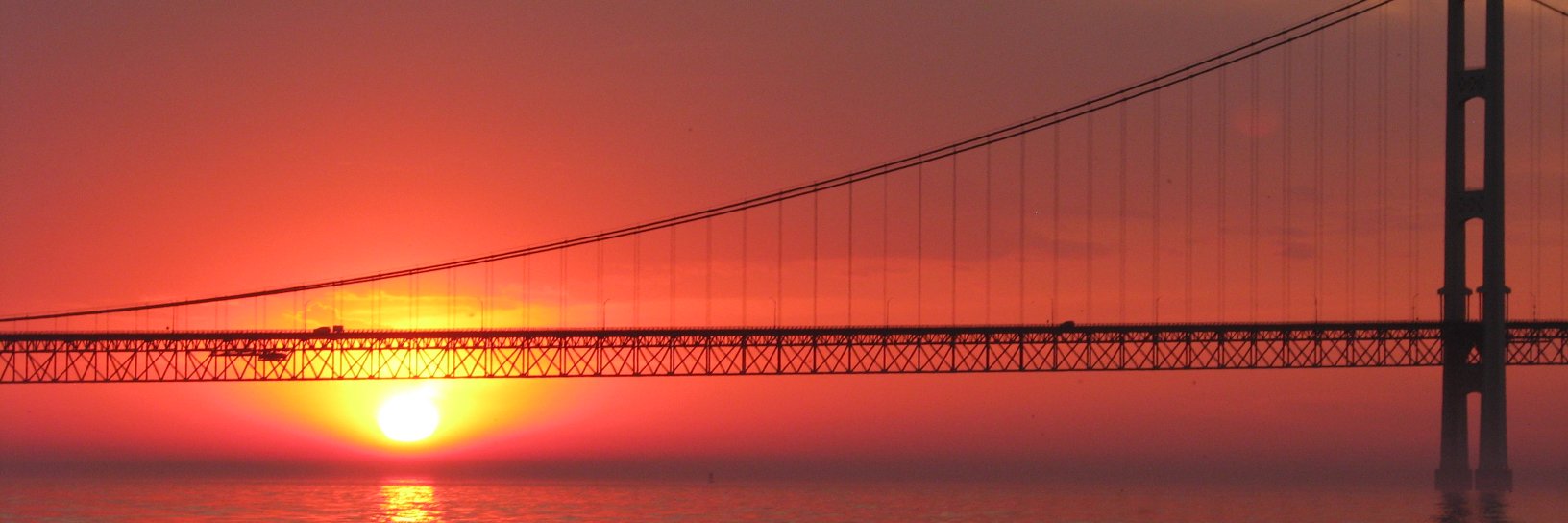 Dave Hogg ✨ banner