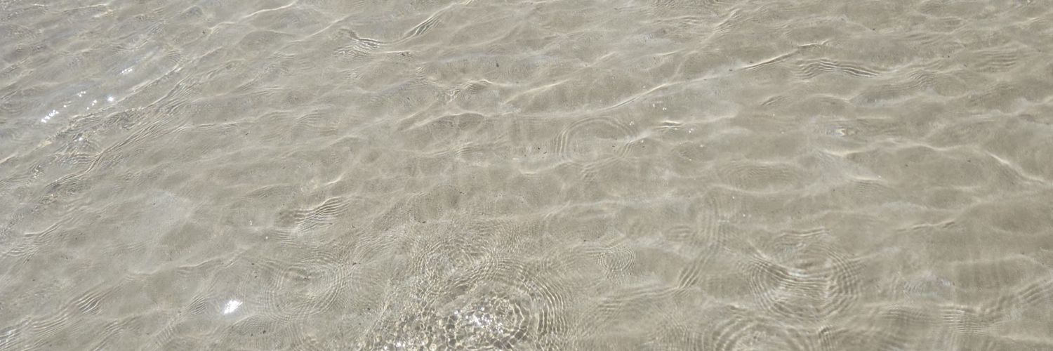 biarrites's profile banner image
