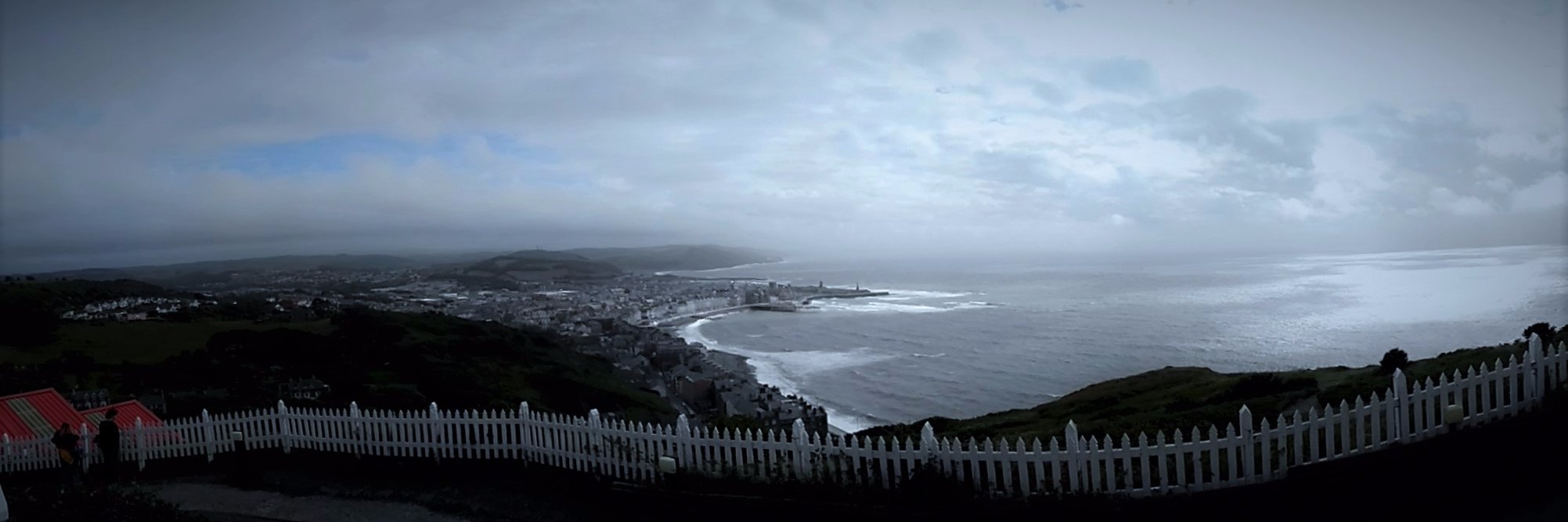 Jess Friedersdorff banner