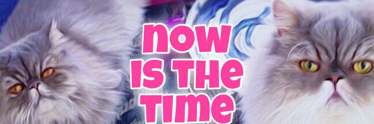 got_furred's profile banner image