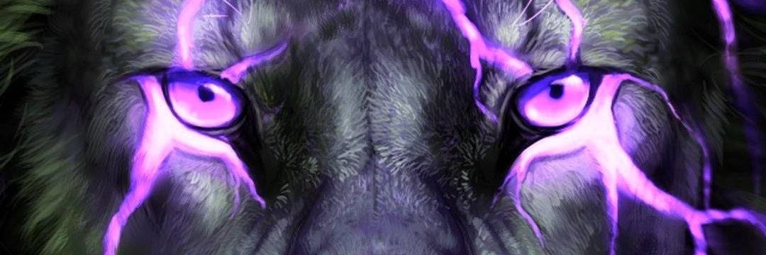 PATRIOTAS ZULIA banner