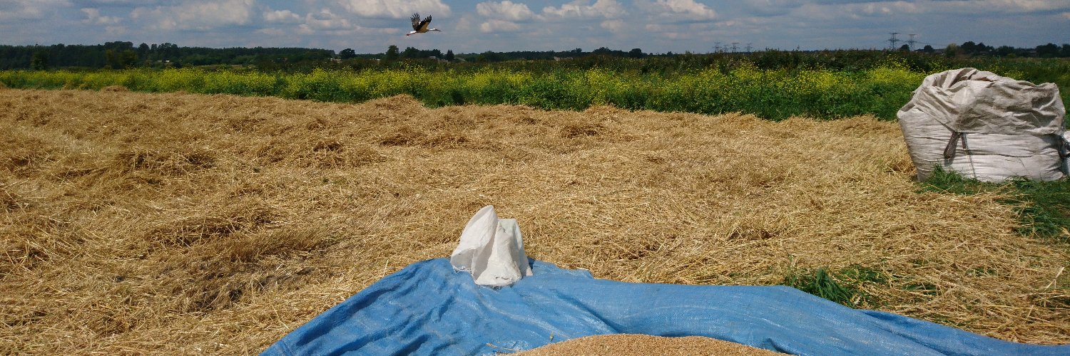 Дулібан banner