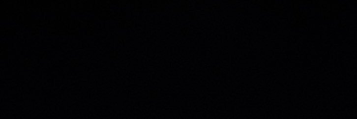 Fabrizio Florentino banner
