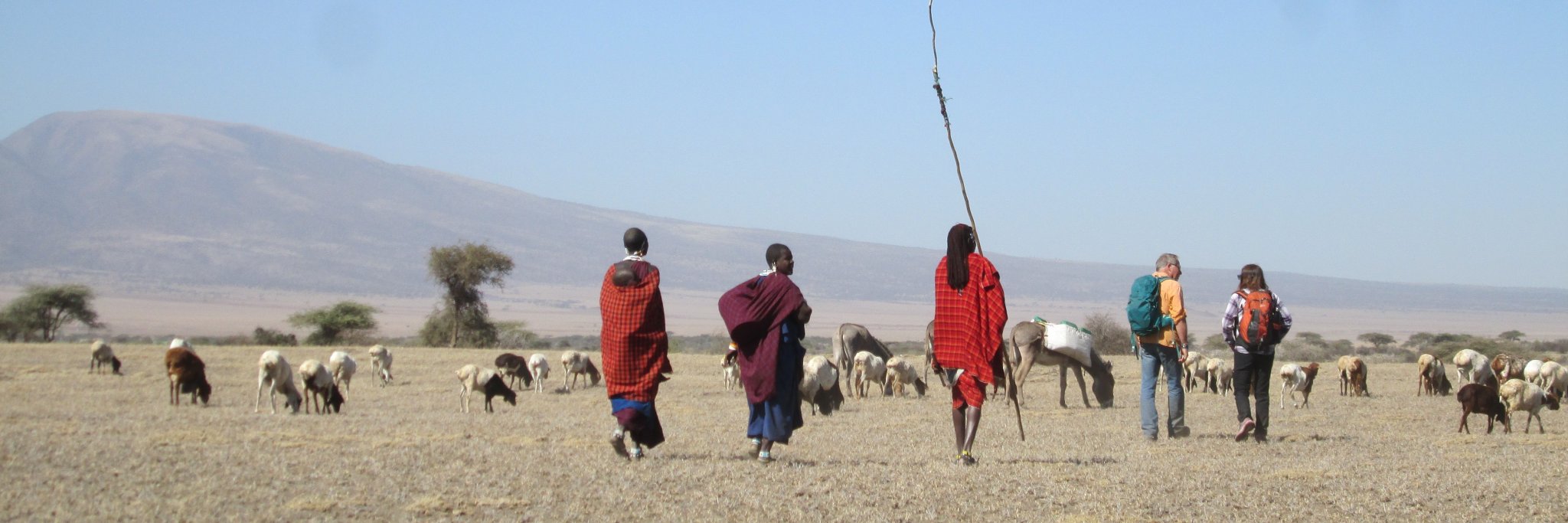Olduvai Gorge: SDS banner