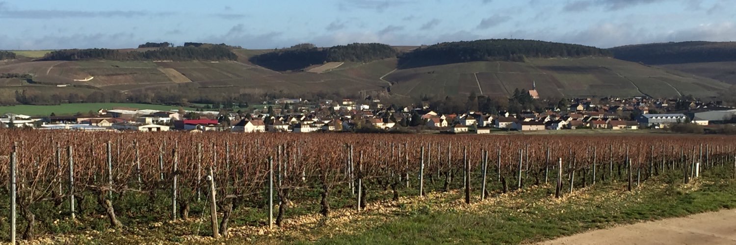 DomaineColletChablis banner