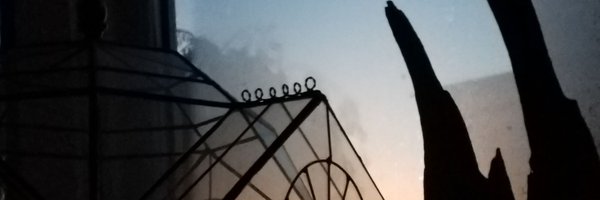 utools Profile Banner