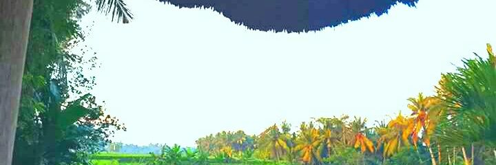 StphanieAssaad1's profile banner image