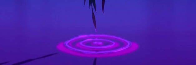 piafelipa's profile banner image