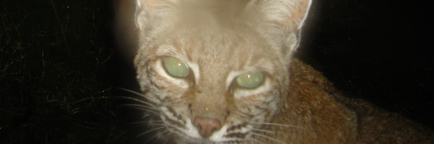 AJG013's profile banner image