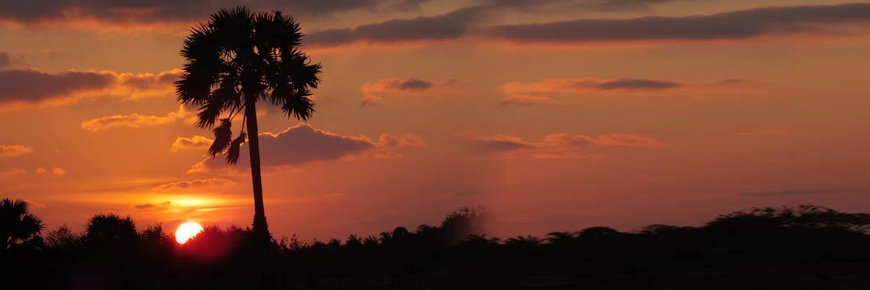 tribetamil's profile banner image