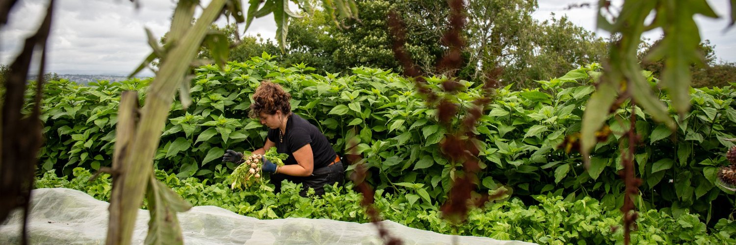 WWOOF UK - Membership Organisation & Charity banner