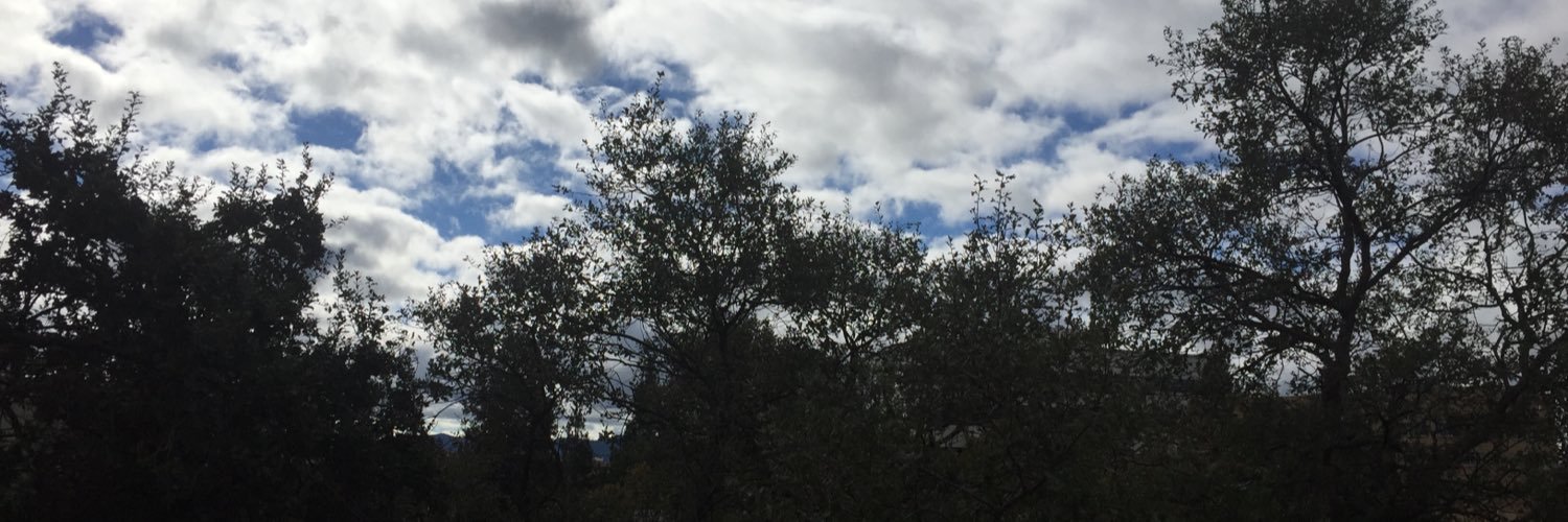 graveyardguy66's profile banner image