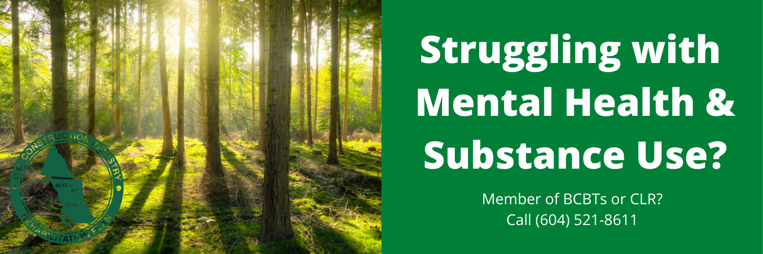 Construction Industry Rehab Plan banner