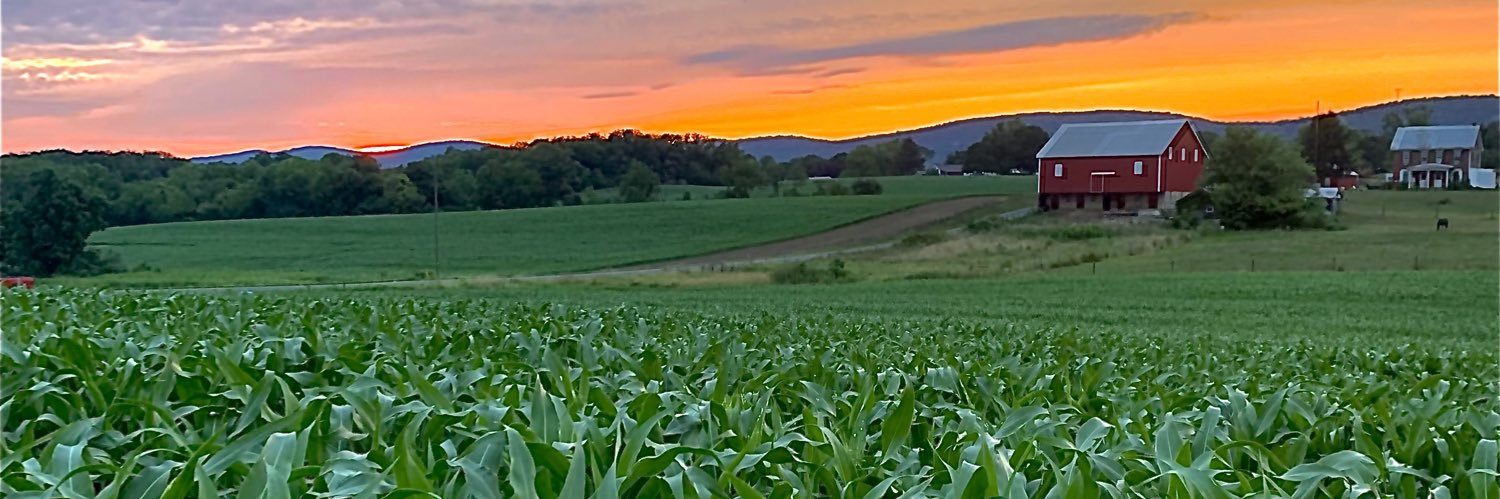 Jordan Crouse banner