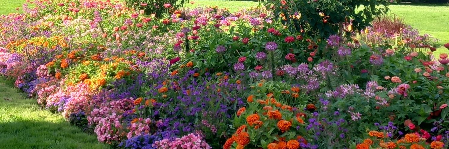 Nuria Aresté banner