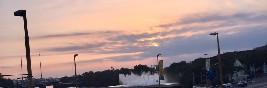 thalybizzle's profile banner image