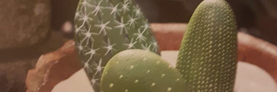 LainieMS's profile banner image