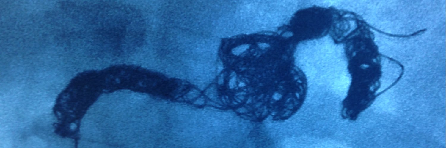 Ounali Jaffer banner