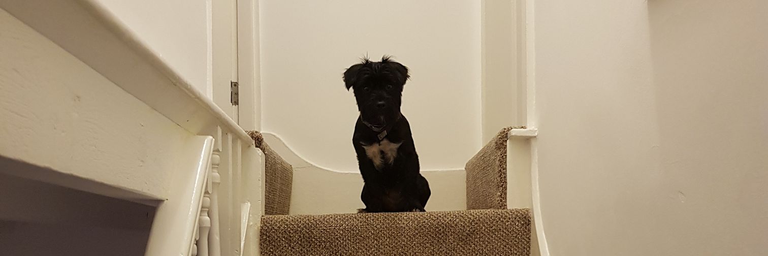 MissEjChadwick's profile banner image