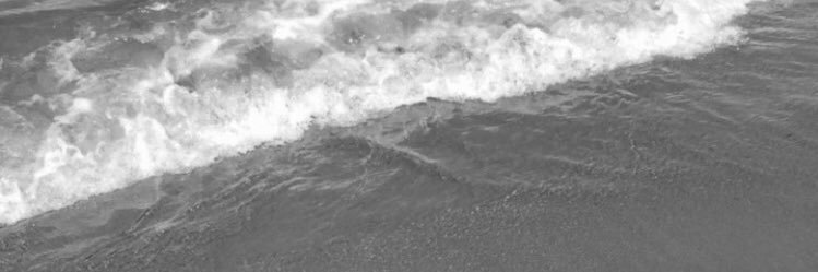 noreeidrovo's profile banner image