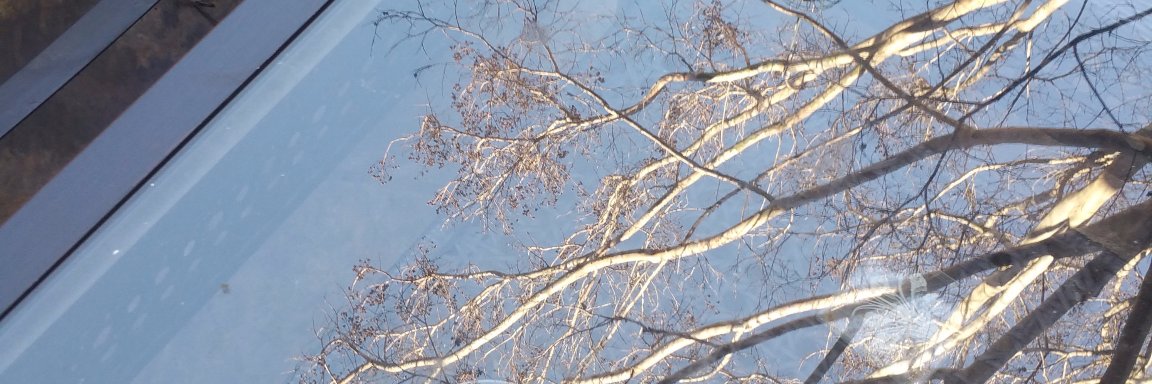 ajmoor's profile banner image