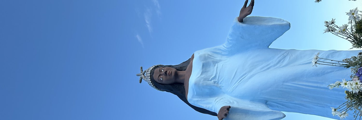 novaesjeny's profile banner image
