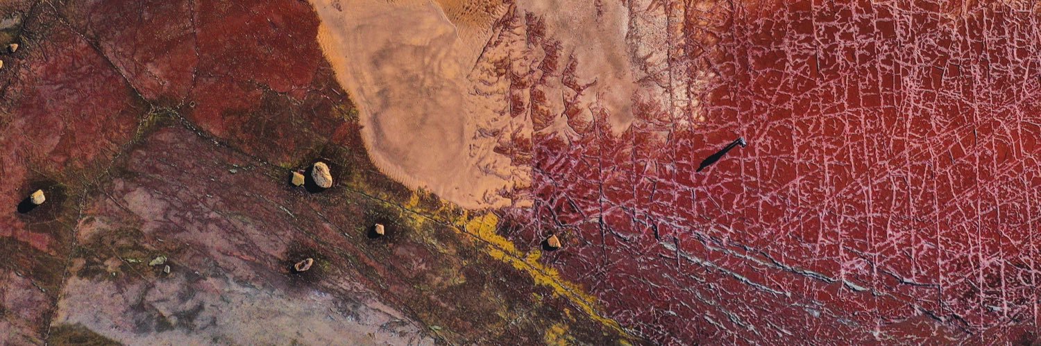 Dr Henry Lydecker banner