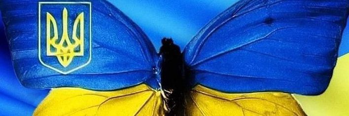 AlexandreRosssi's profile banner image