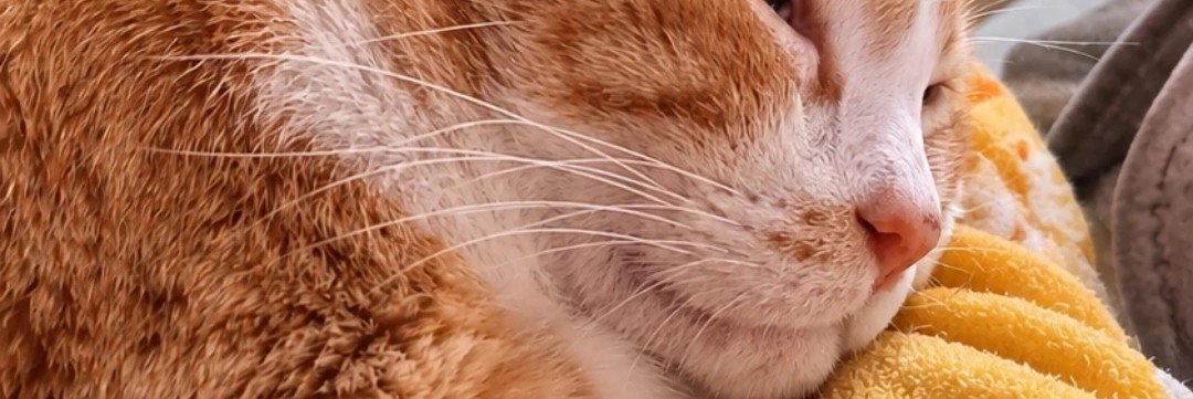 Surbe24's profile banner image