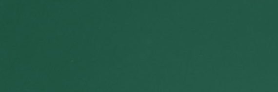 placebocum's profile banner image