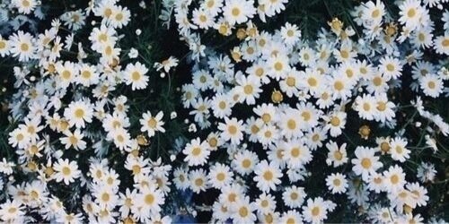anggiogi's profile banner image