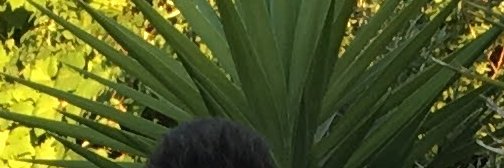 RubenR98's profile banner image