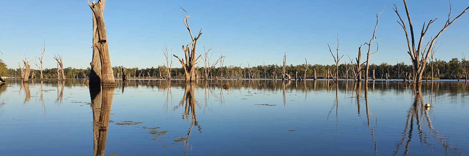 Andrew Webb, PhD banner