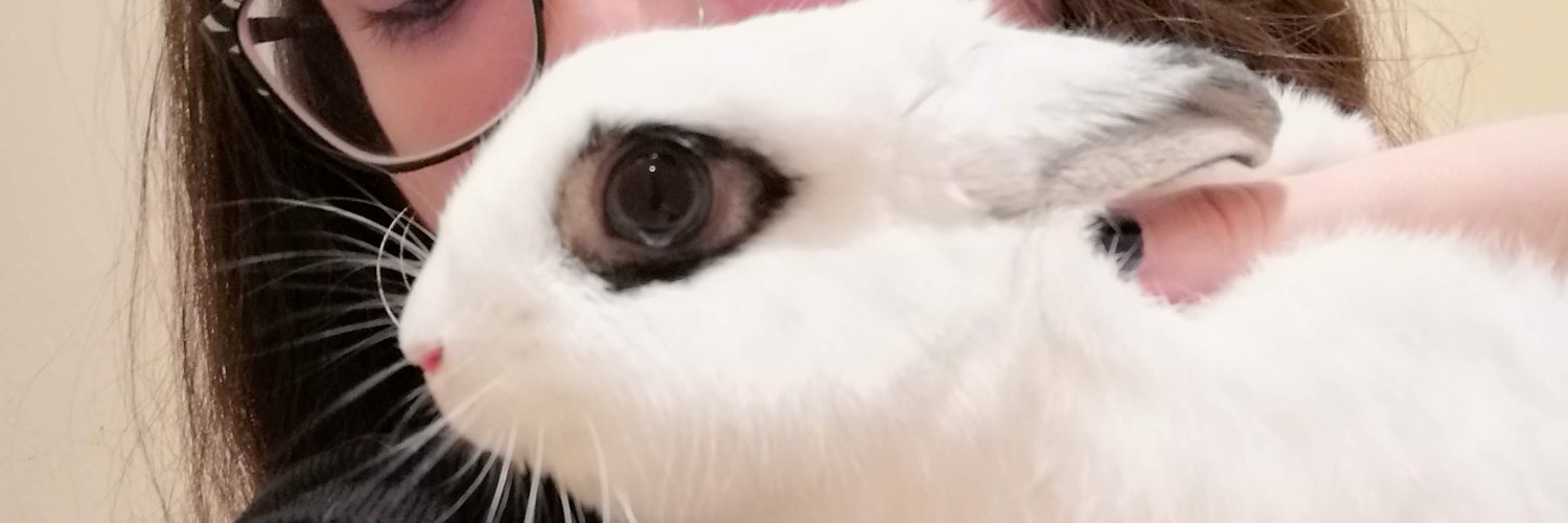 aleramcub's profile banner image