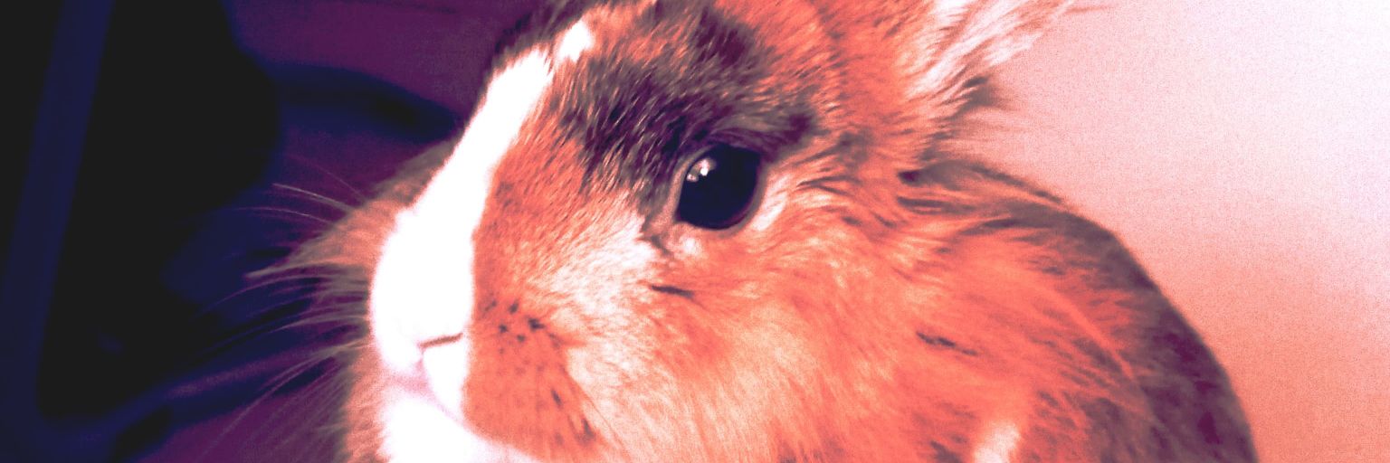 Sissyalias's profile banner image