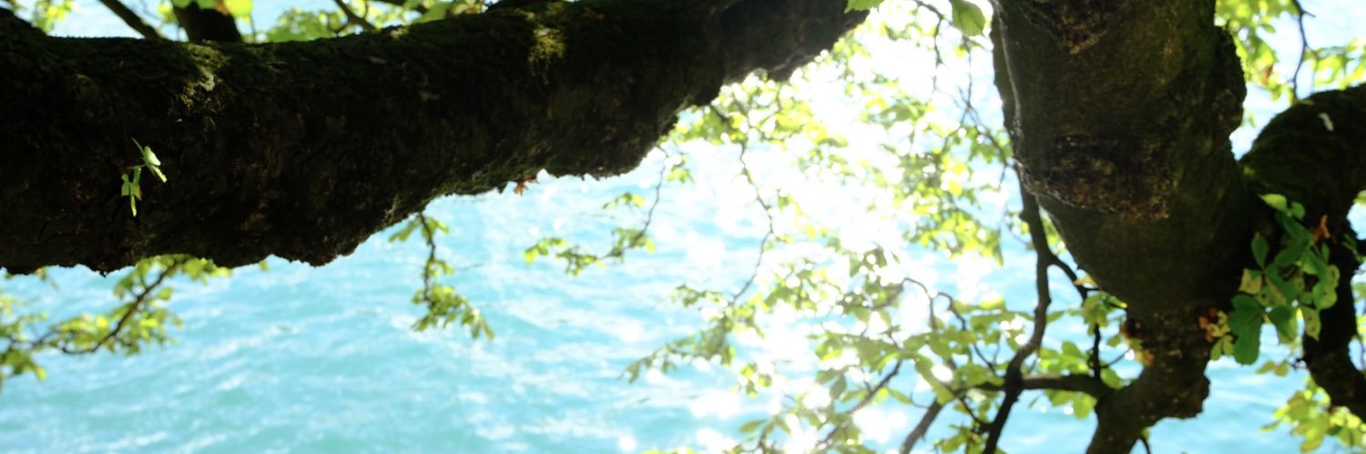 Complex_Nichole's profile banner image