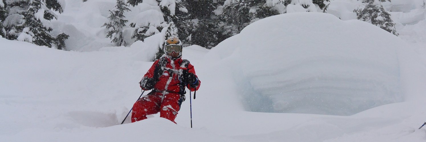 Philippe Cosse banner