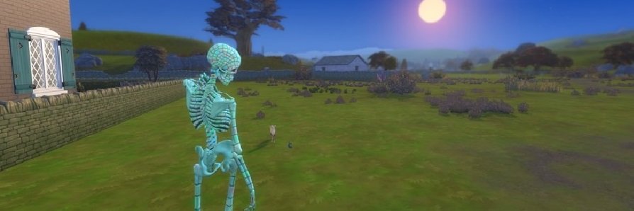 TheRobinWillow's profile banner image